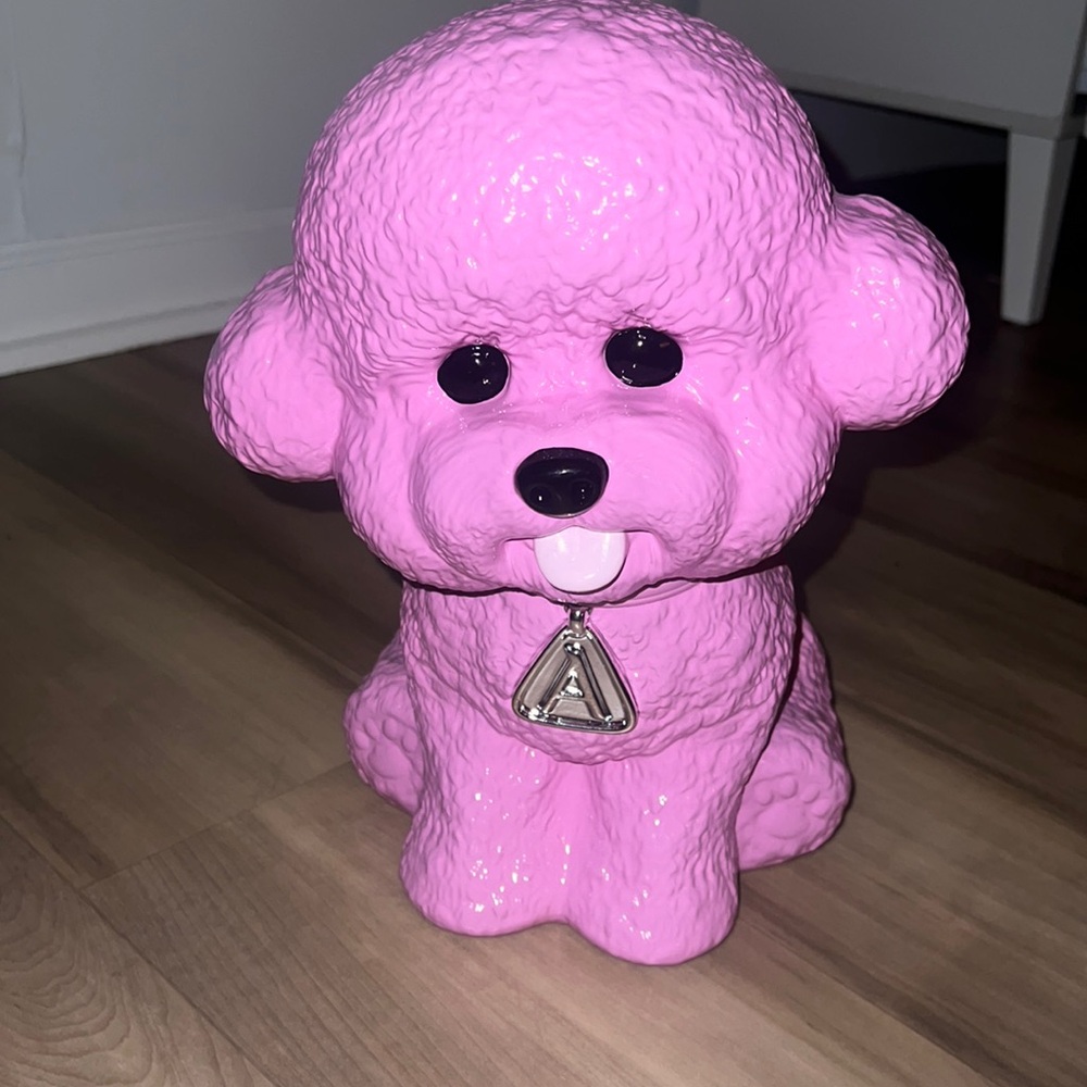 Aritzia Dog
